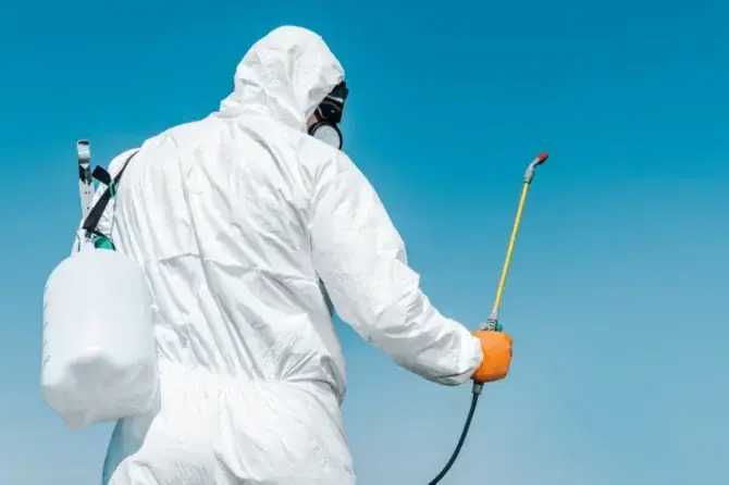 Contract DDD Deratizare, Dezinsectie Dezinfectie